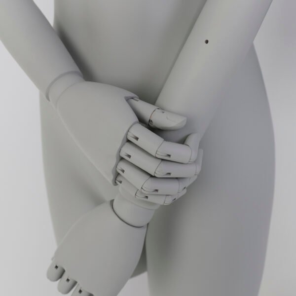 Adjustable Half Body Female Mannequin